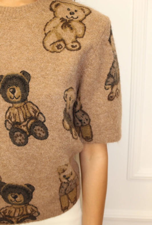 Džemperītis ar Teddy lācīšiem 